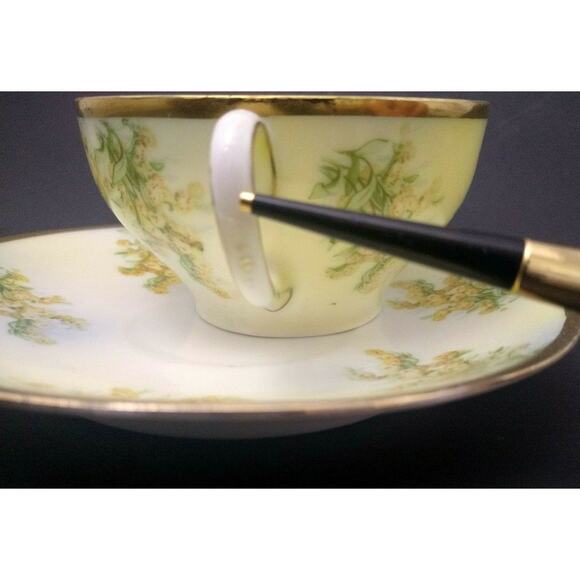 P.T. Tirschenreuth Bavaria Hand Painted Teacup and Saucer - Picture 6 of 7